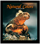 Natural colors